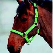 Shires Licol Topaz - SHOPHORSE